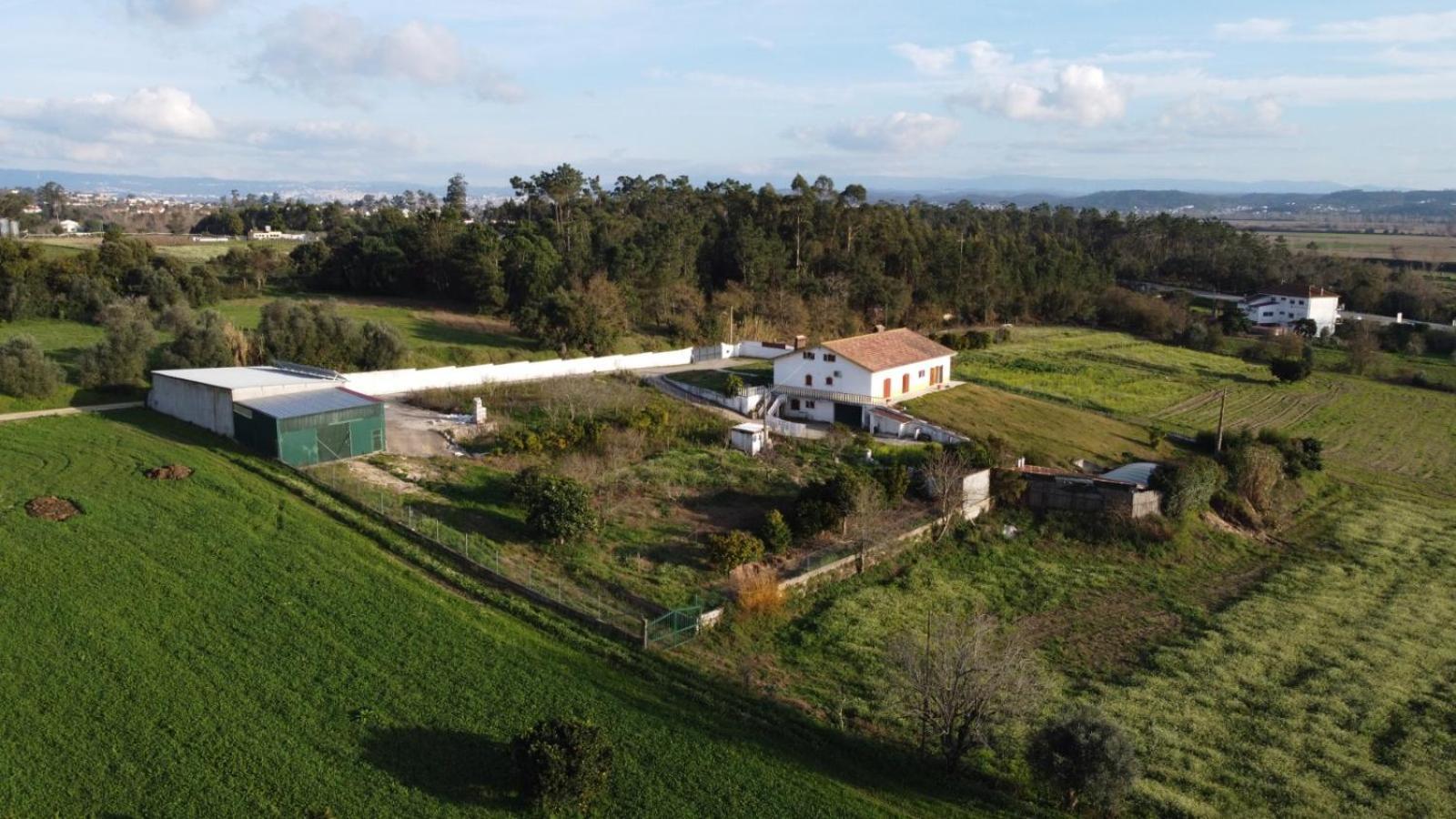 Apartament Quinta Da Barrosa Tentugal Zewnętrze zdjęcie